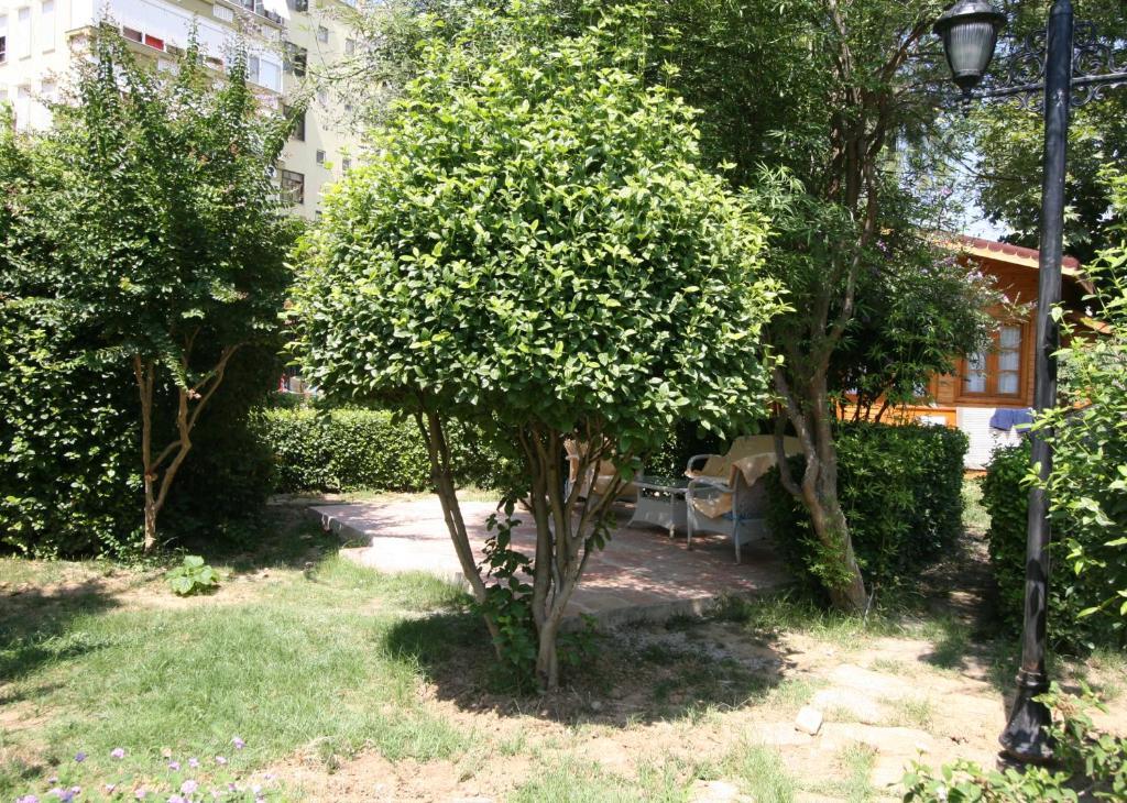 Sevkibey Hotel Alanya Esterno foto